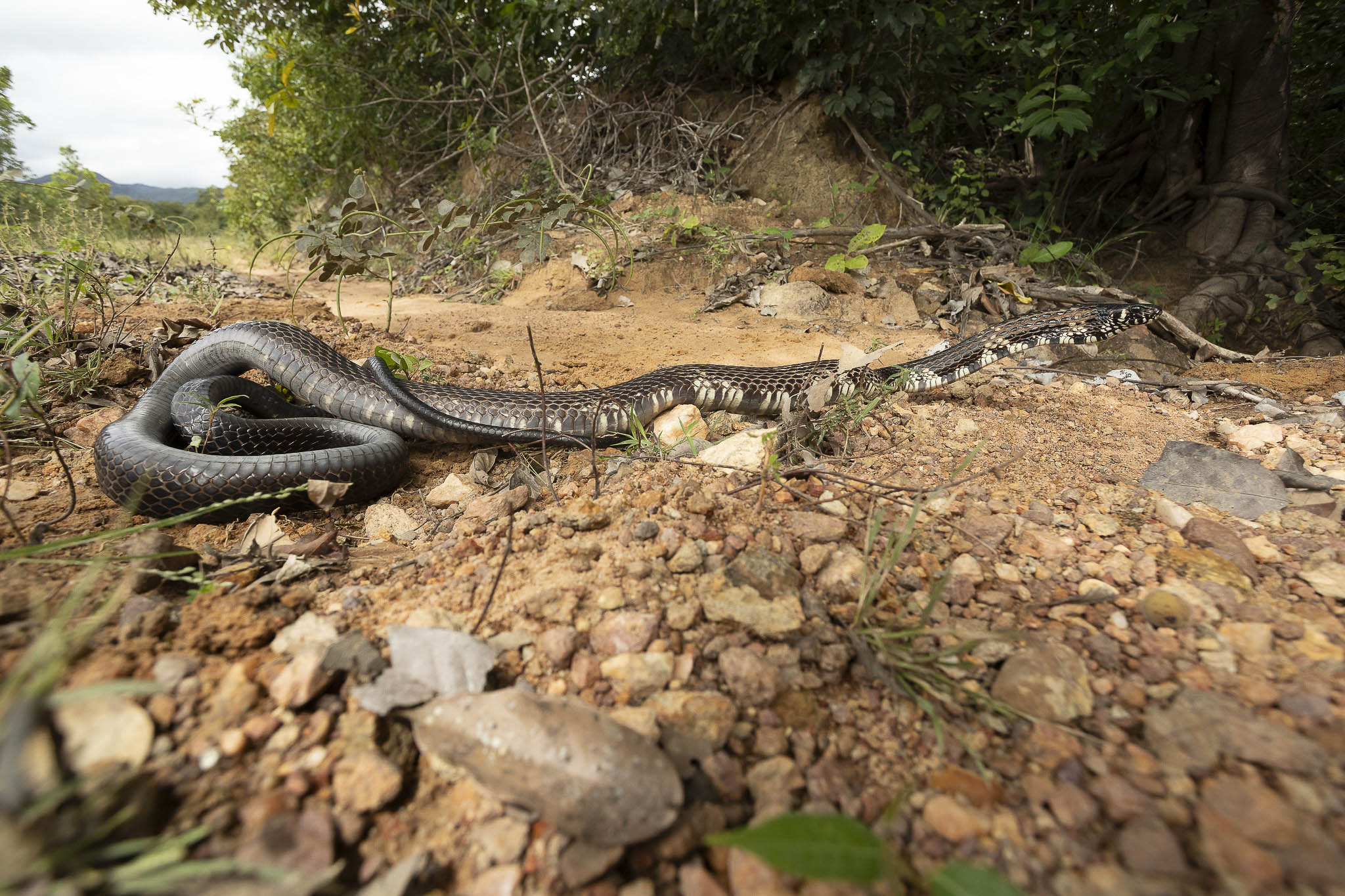 Imagem Expedição Cavalcante--26 da expedição de expedicoes/cavalcante_25